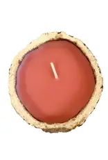 Exotic Scented Brazil Nut Candles, Peru |