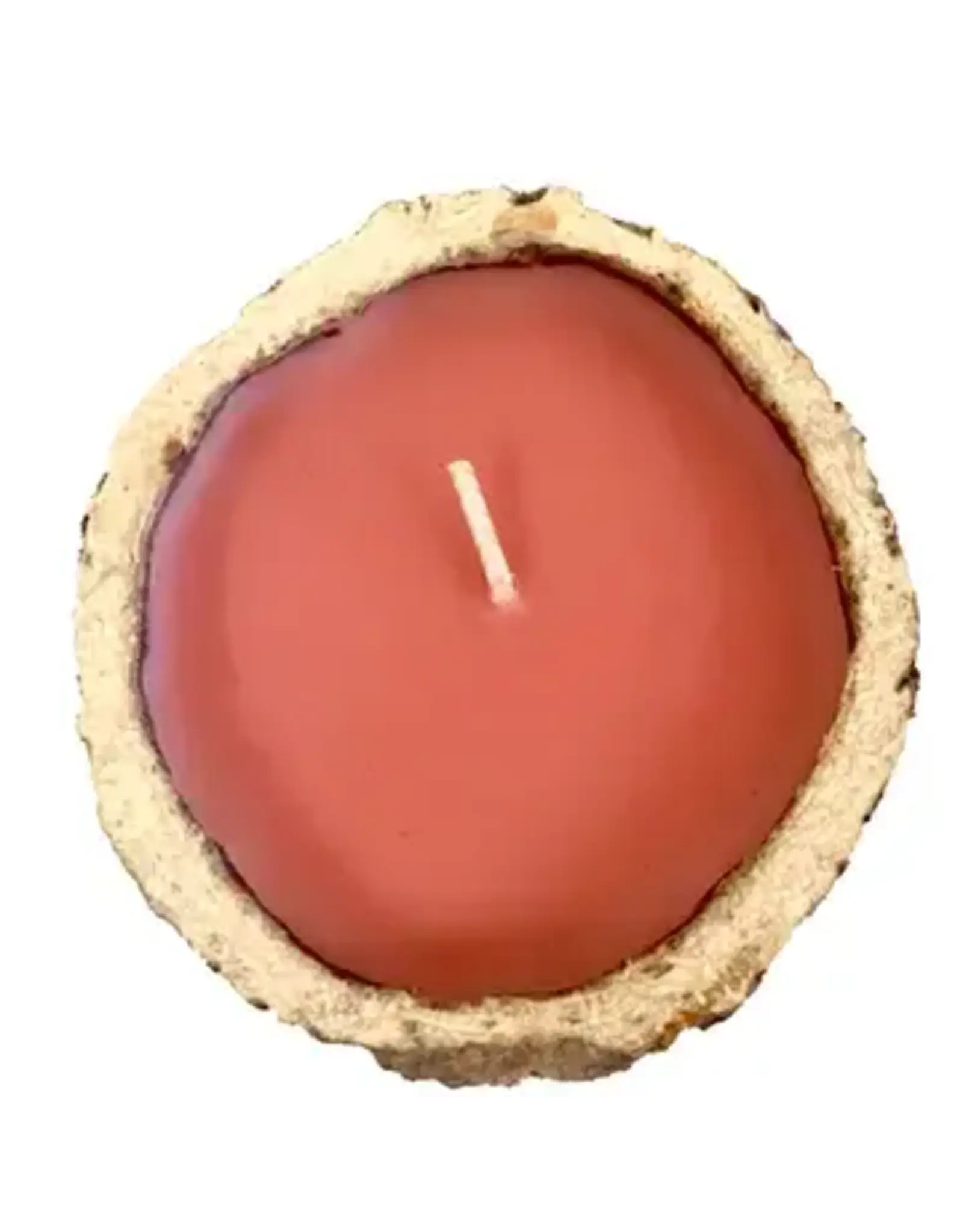 Exotic Scented Brazil Nut Candles, Peru |