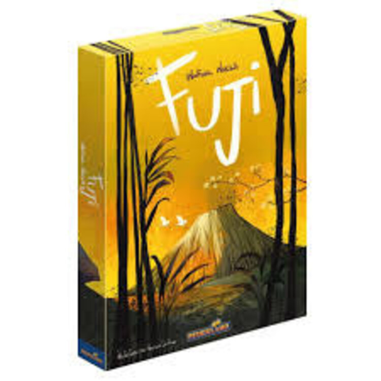 Super Meeple Fuji (FR)