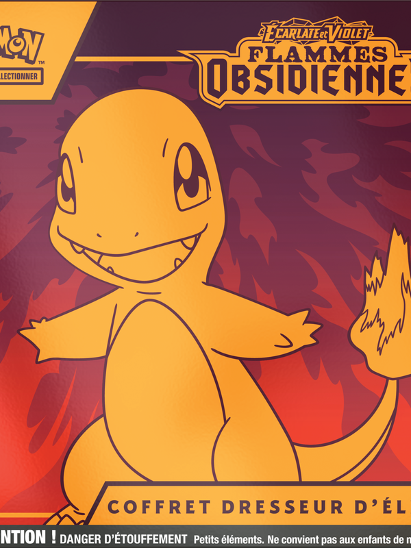 Pokemon Pokemon: SV3 Flammes Obsidiennes: Coffret Dresseur D'Élite (FR)