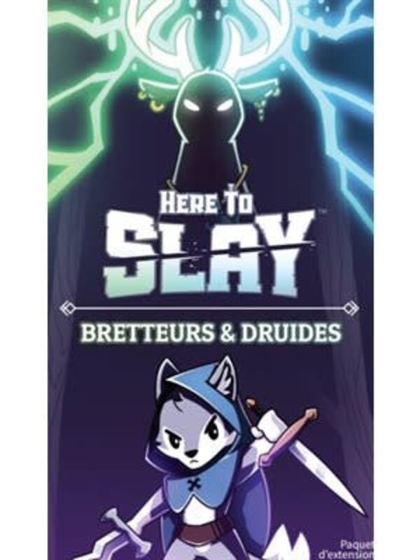 Teeturtle Here To Slay: Ext. Bretteurs & Druides (FR)