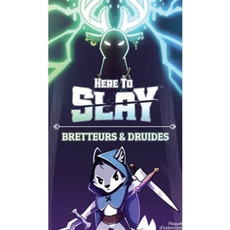 Teeturtle Here To Slay: Ext. Bretteurs & Druides (FR)