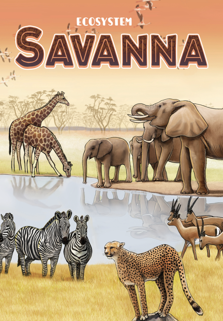 Genius Games Ecosystem: Savanna (EN)