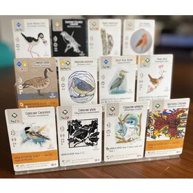 Stonemaier Games Wingspan: Ext. Fan Art Cards (EN)