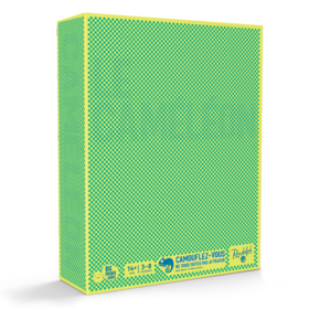 Randolph Le Caméléon (FR)