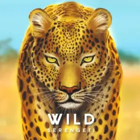 Don't Panic Games Wild: Serengeti (FR)