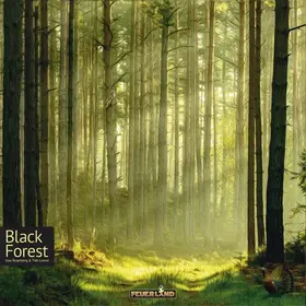 Capstone Games Black Forest (EN)