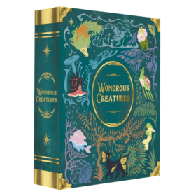 Super Meeple Wondrous Creatures (FR) Disponible en magasin seulement