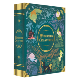 Super Meeple Wondrous Creatures (FR)