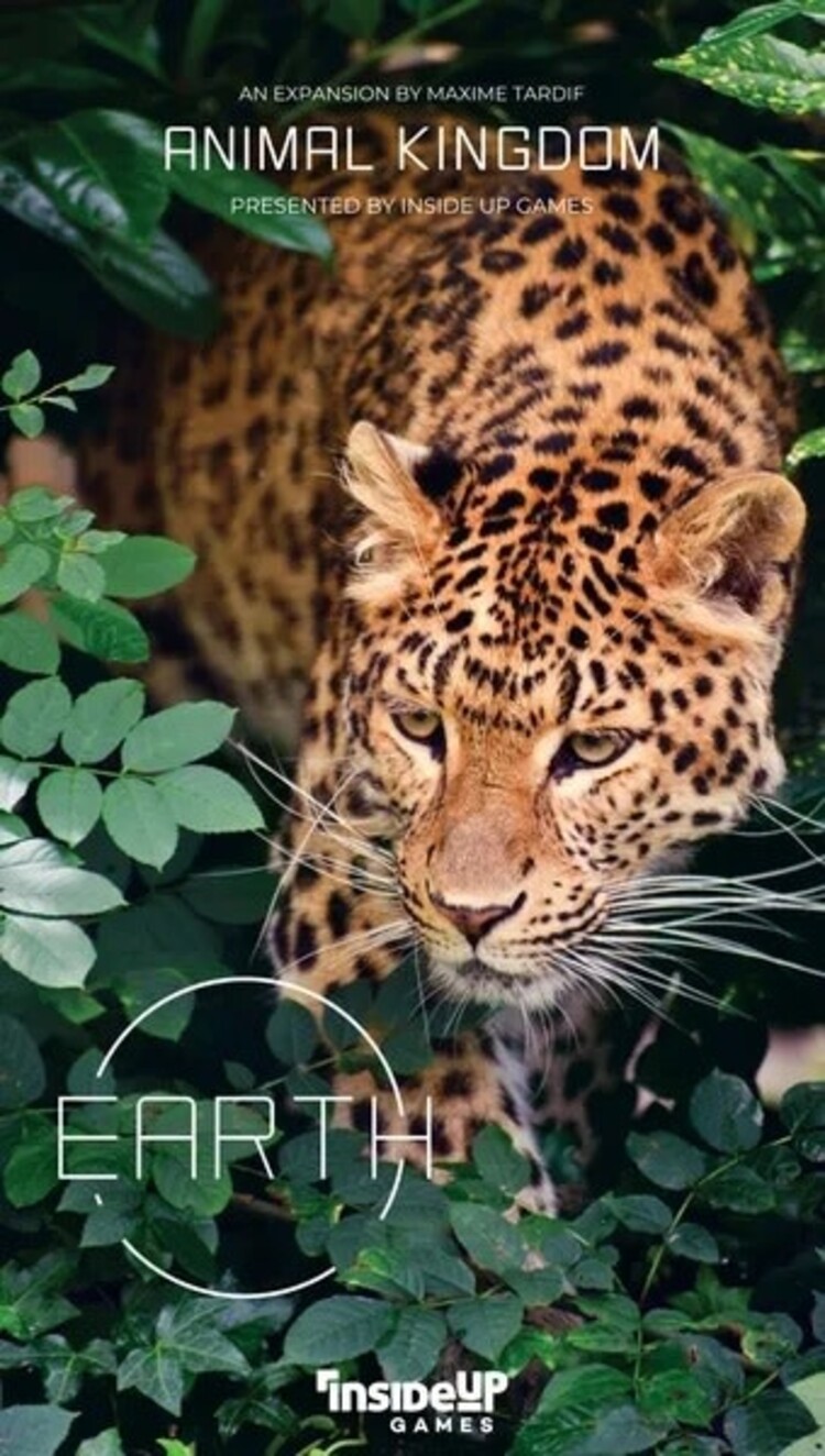 Inside Up Games Earth Ext. Animal Kingdom (EN)