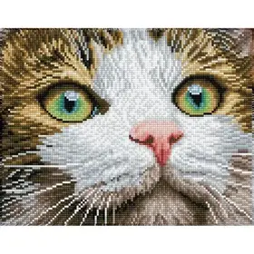 Diamond Dotz Diamond Dotz: Beauté Aux Yeux Verts (ML)