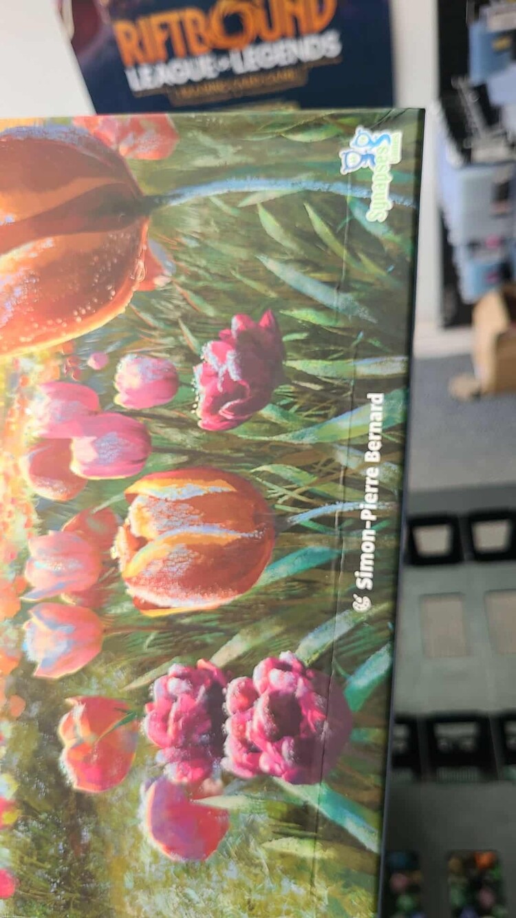 Synapses Games Frosted Blooms: Boite endommagée 10% (ML)