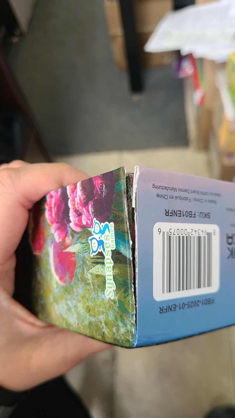 Synapses Games Copy of Frosted Blooms: Boite endommagée 10% (ML)