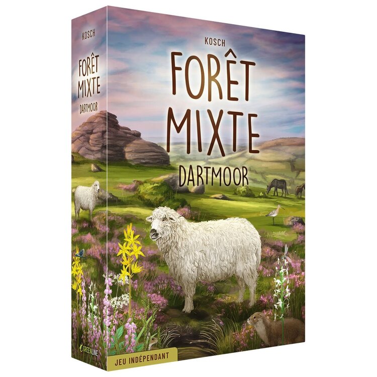 Lookout Games Foret Mixte: Dartmoor (FR)