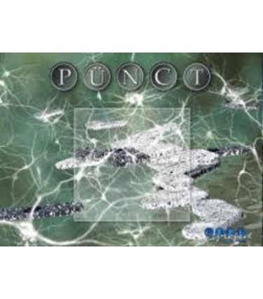 Don & Co GIPF Project: PUNCT (EN)