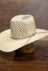 Resistol Resistol Straw Hat - Ryder