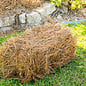 Pine Straw - Longleaf bales