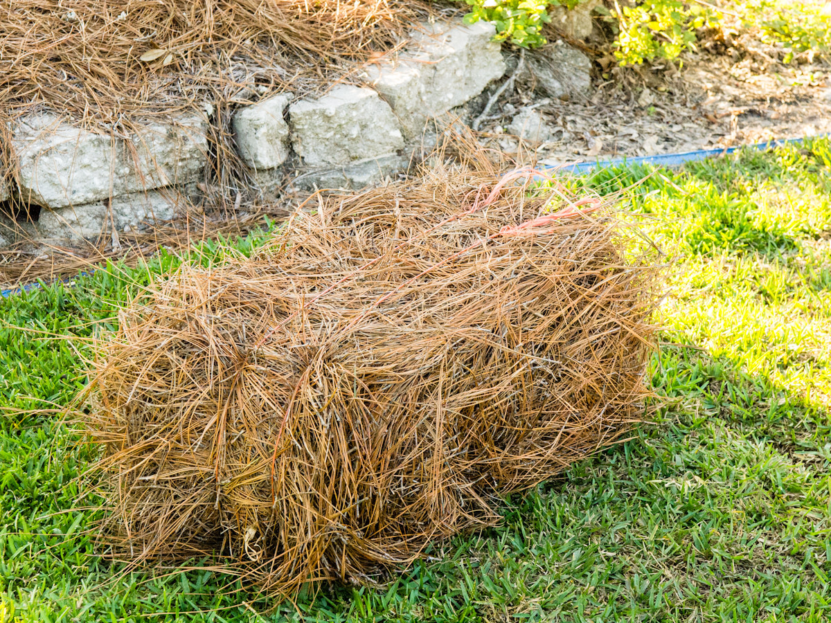 ;Pine Straw Long Leaf bale Heinz Nurseries