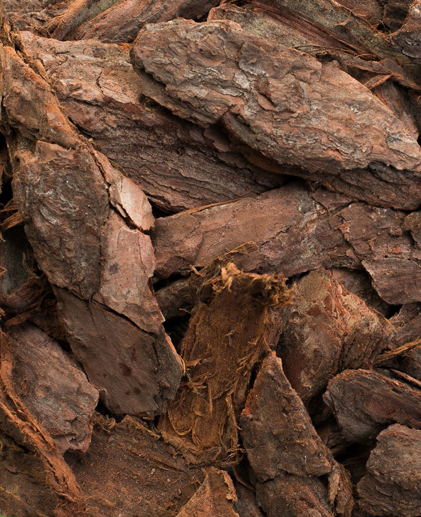 pine bark nugget mulch