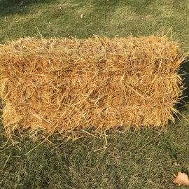 Wheat Straw, Bales