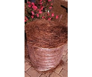 https://cdn.shoplightspeed.com/shops/617766/files/7570292/300x250x2/pine-straw-long-leaf-roll.jpg