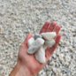 Marble Chips, White - BULK (1" to 3")