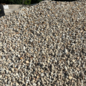 Egg Rock #4 - BULK