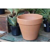 7.5" Terracotta Pot