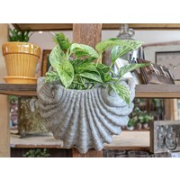 Mediterranean Shell Planter