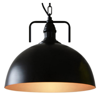 Black and Brass Industrial Pendant Light