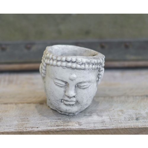 Buddha Pot Head