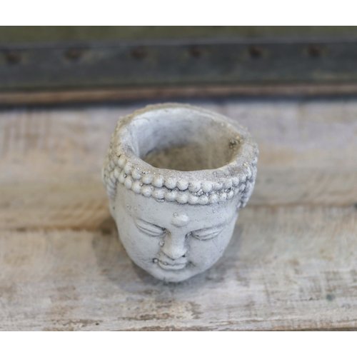 Buddha Pot Head