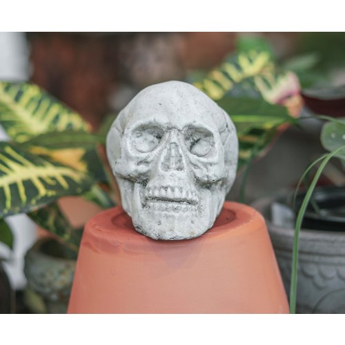 Medium Skull Pot Medium Skull Pot