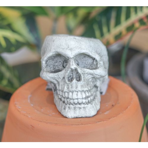 Small Dead People's Stuff Skull Pot