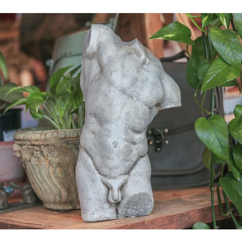 12 inch Male Torso 12 inch Male Torso