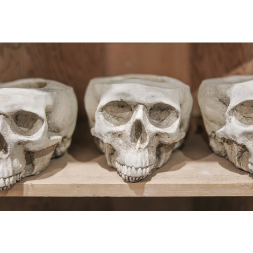 Large Skull Pot Large Skull Pot