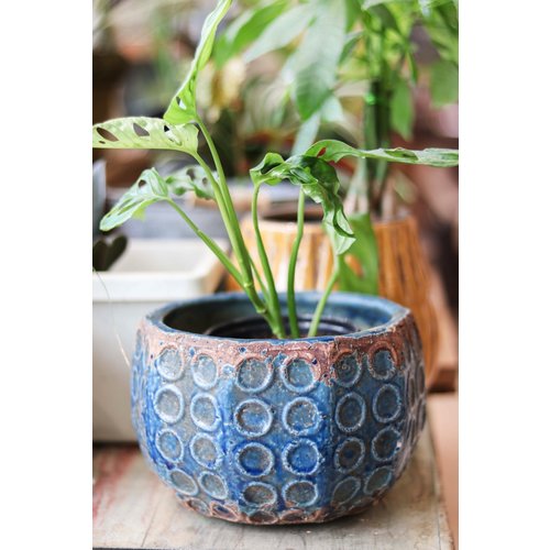 Terra-cotta Circle Pattern Pot Terra-cotta Circle Pattern Pot