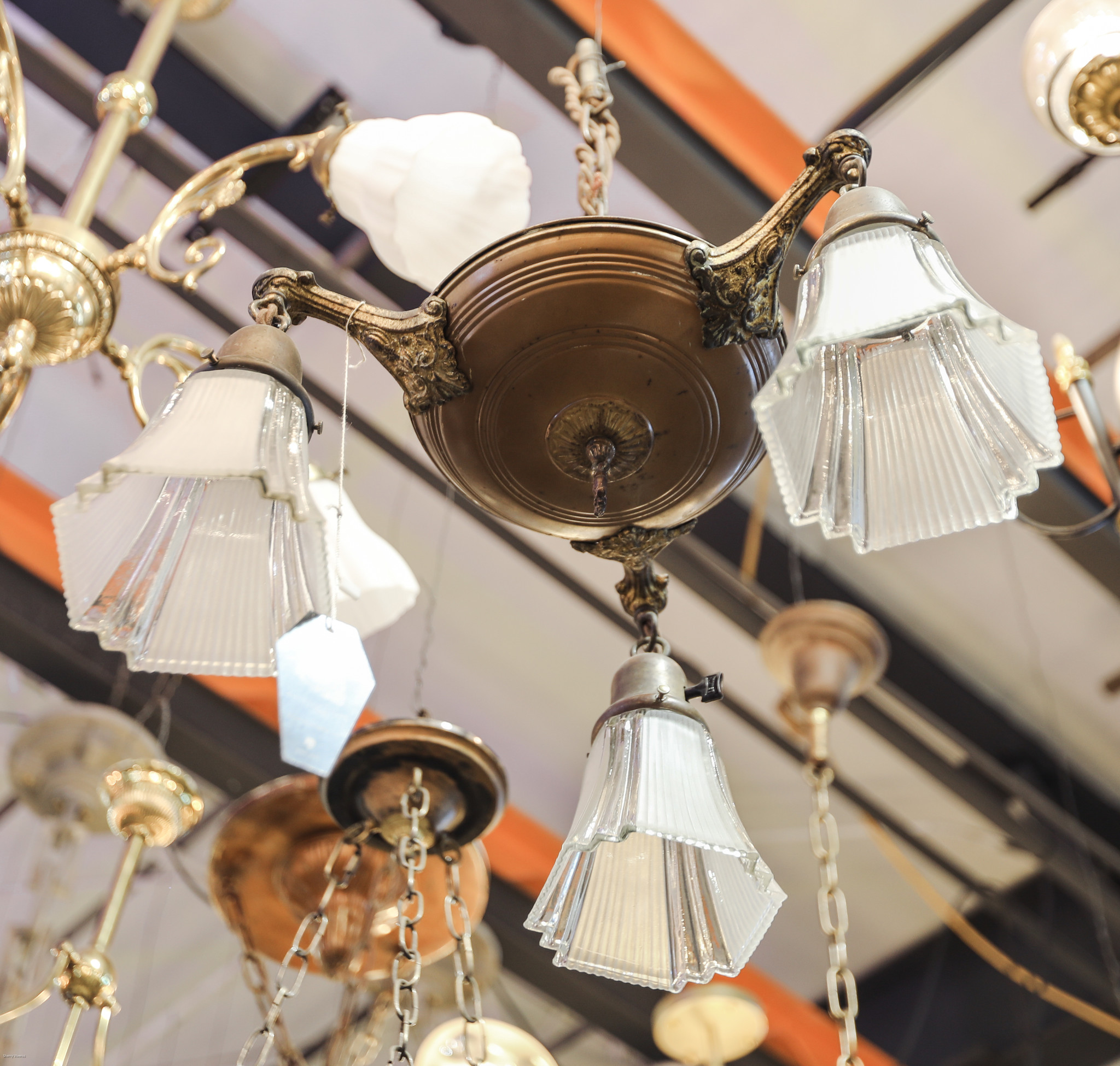 3 Socket Hanging Light Killers of the Flower Moon Dead People's