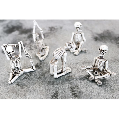 Yoga Skeleton - 5 Pack Set