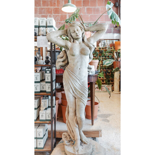 Birth of Venus- From England 2025