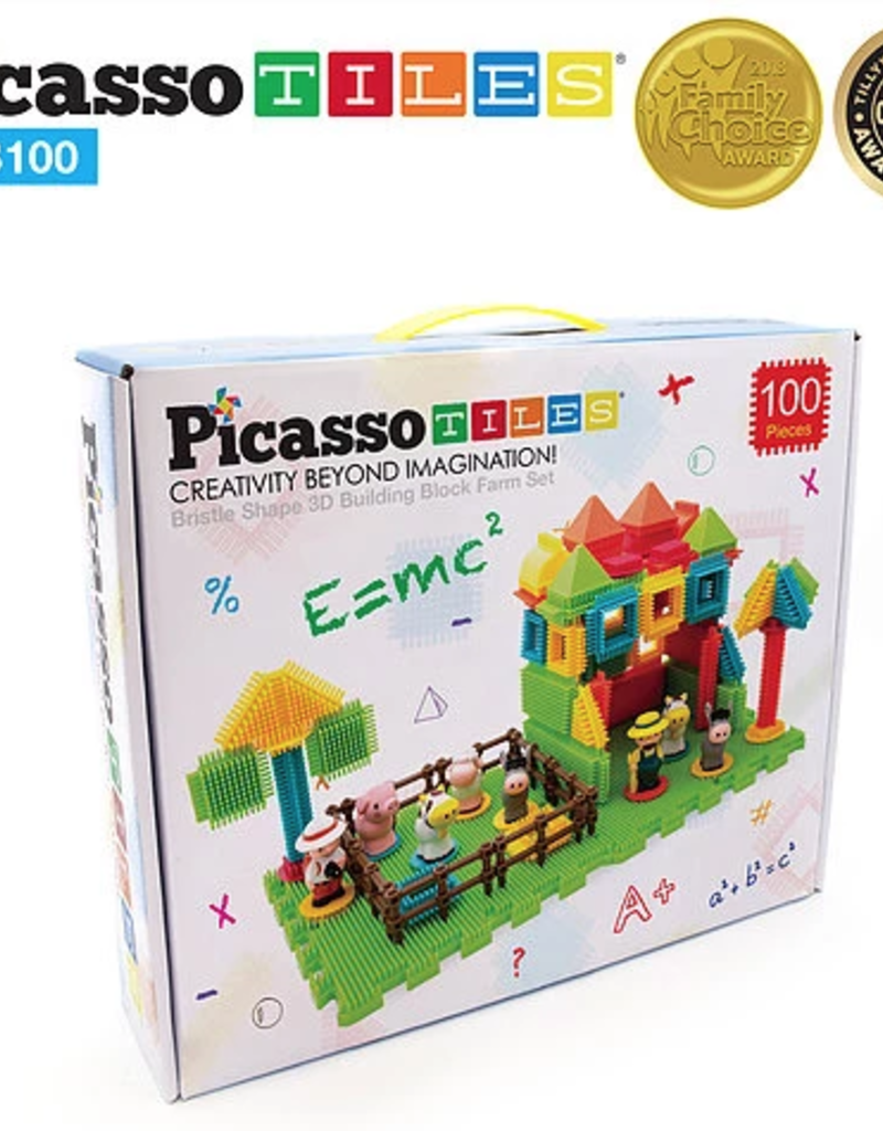 picasso tiles bristle blocks
