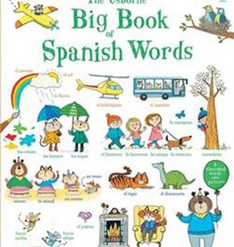 Usborne Big Book of Spanish Words