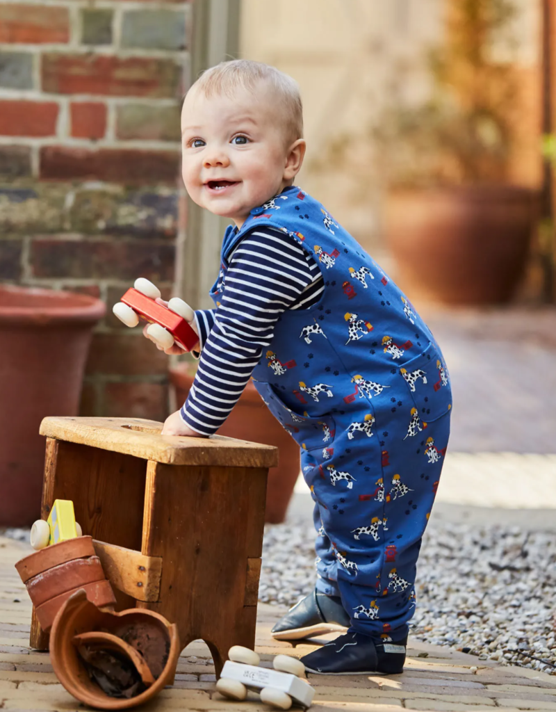 Fire Dog Print Dungaree Set Indigo Tip Toes