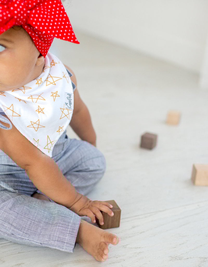 Copper Pearl Baby Bandana Bib Set 4 Paris