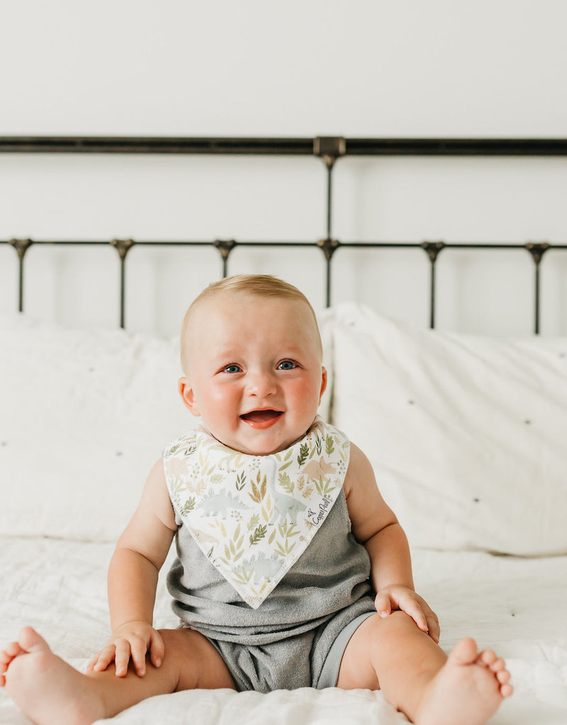 Copper Pearl Baby Bandana Bib Set 4 Rex