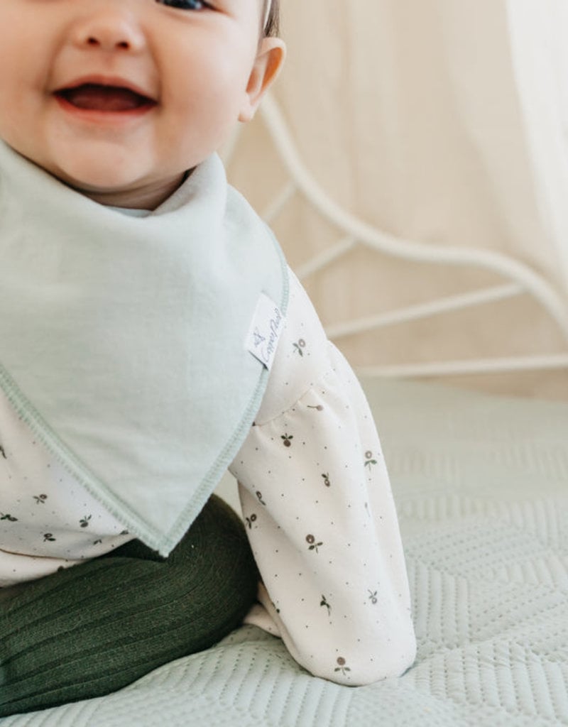 Copper Pearl Baby Bandana Bib Set 4 Rex