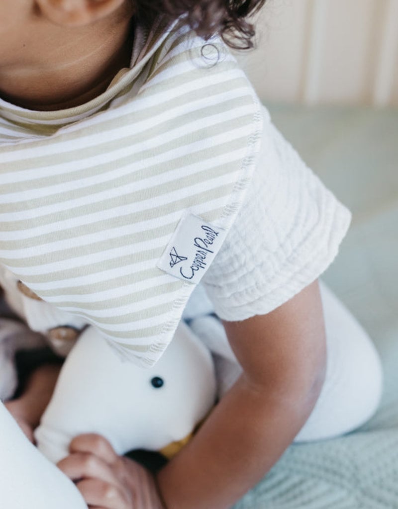 Copper Pearl Baby Bandana Bib Set 4 Rex
