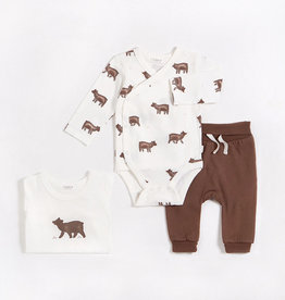 Petit Lem Bear Cub Newborn Bodysuit Set (3 pc)