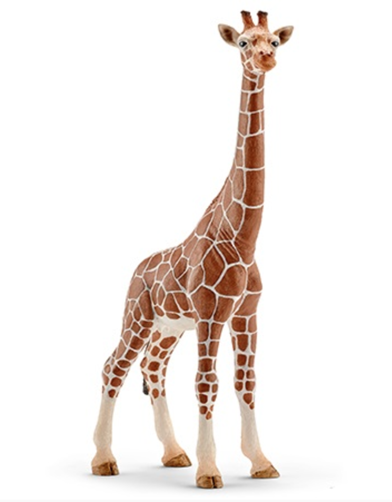 schleich Giraffe Female