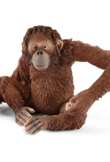 schleich Orangutan, Female
